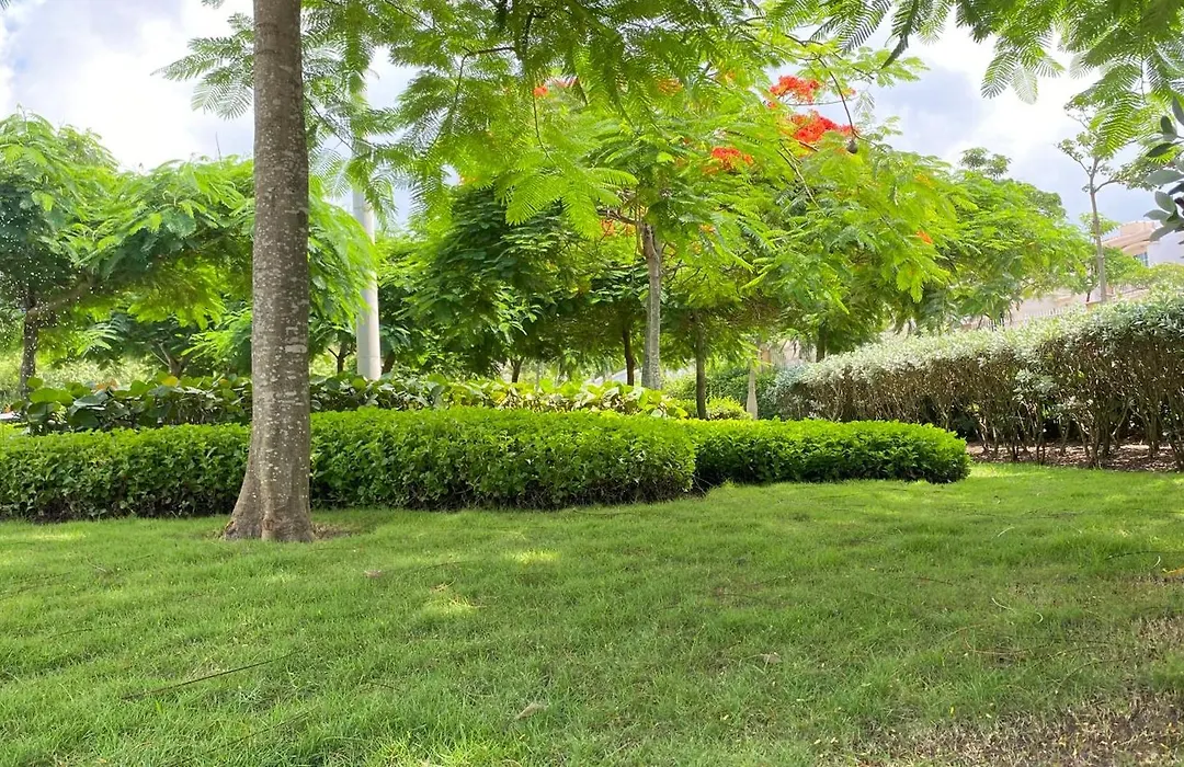 Holiday Inn Express - Barranquilla Buenavista By Ihg-1